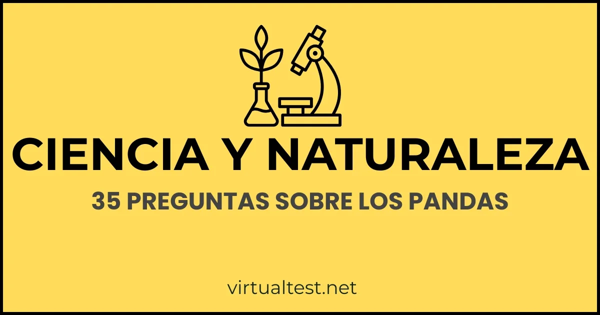 35 Preguntas sobre los Pandas – Quiz de Animales